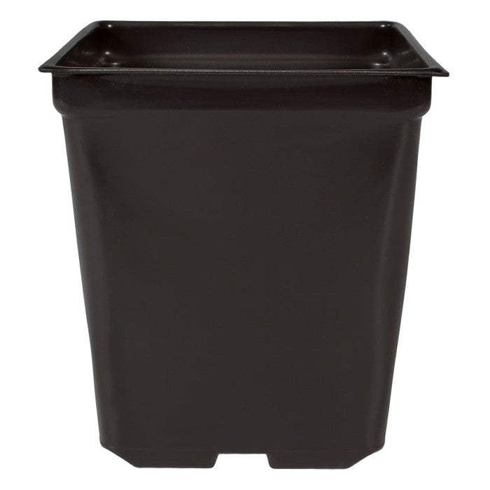 5'' x 5'' x 4.5'' Square 1.25qt Square Pot - Case of 585