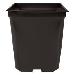 5'' x 5'' x 4.5'' Square 1.25qt Square Pot - Case of 585