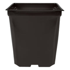 DL Wholesale 5'' x 5'' x 4.5'' Square 1.25 qt Square Pot - Case of 585