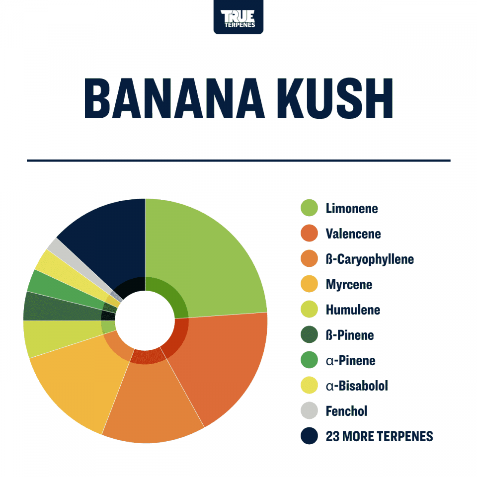True Terpenes Banana Kush Profile, 4oz - TTP-BNK-4
