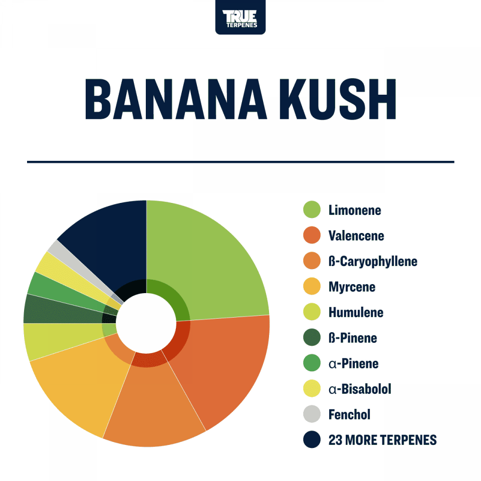 True Terpenes Banana Kush Profile, 1oz - TTP-BNK-1