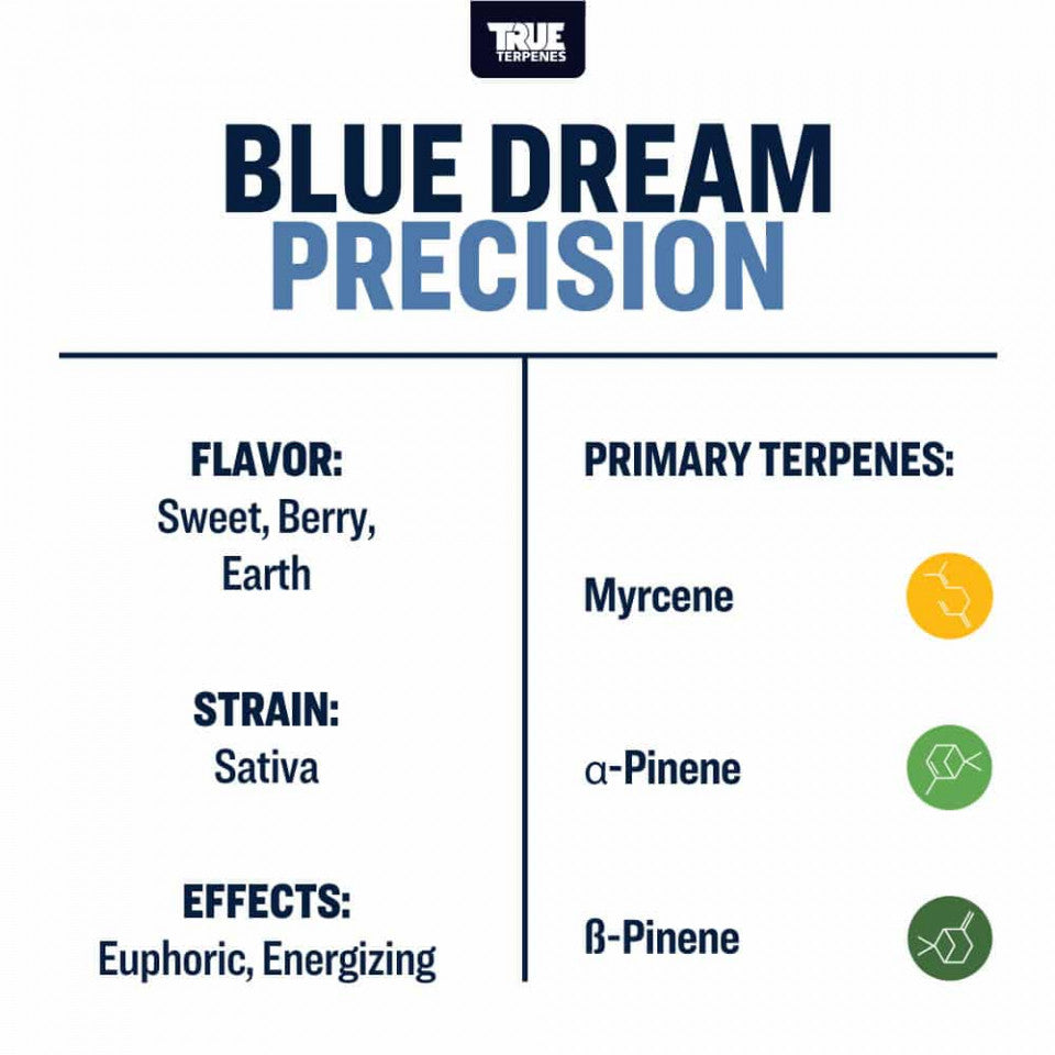 True Terpenes Blue Dream Profile, 15ml - Harvest