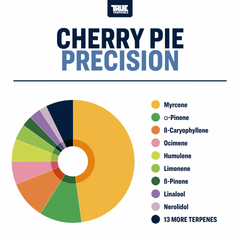 True Terpenes Cherry Pie Profile 1oz - TTP-CPI-1