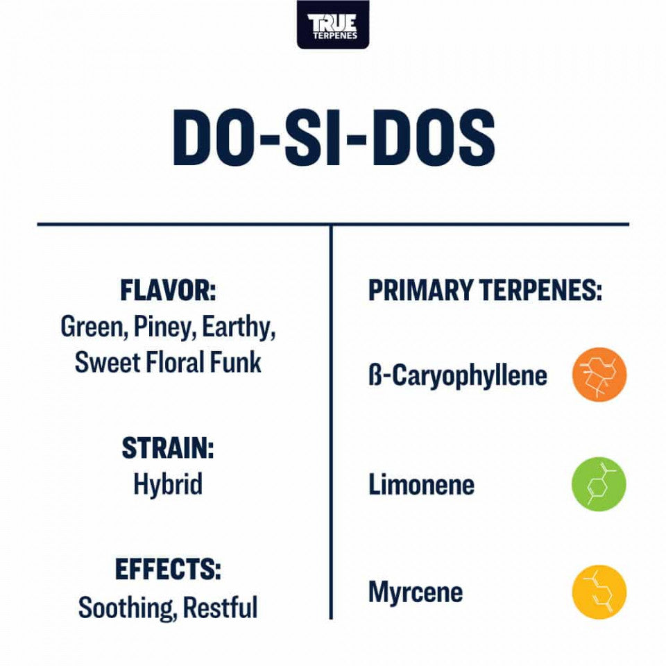 True Terpenes Do-Si-Dos Profile, 1oz - Harvest