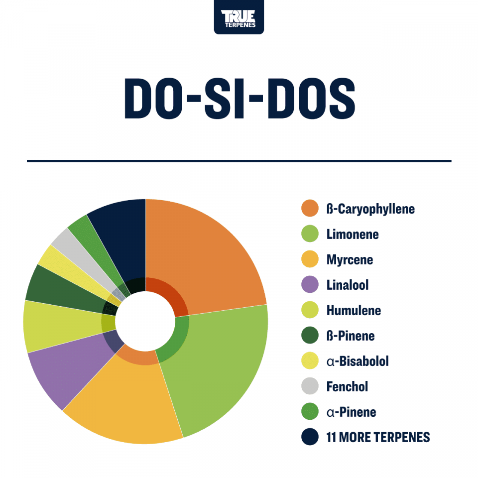 True Terpenes Do-Si-Dos Profile, 1oz - TTP-DSD-1
