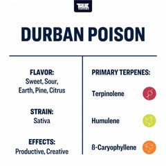 True Terpenes Durban Poison Profile, 4oz - Harvest