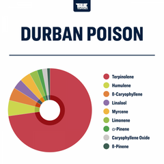 True Terpenes Durban Poison Profile, 4oz - TTP-DPN-4