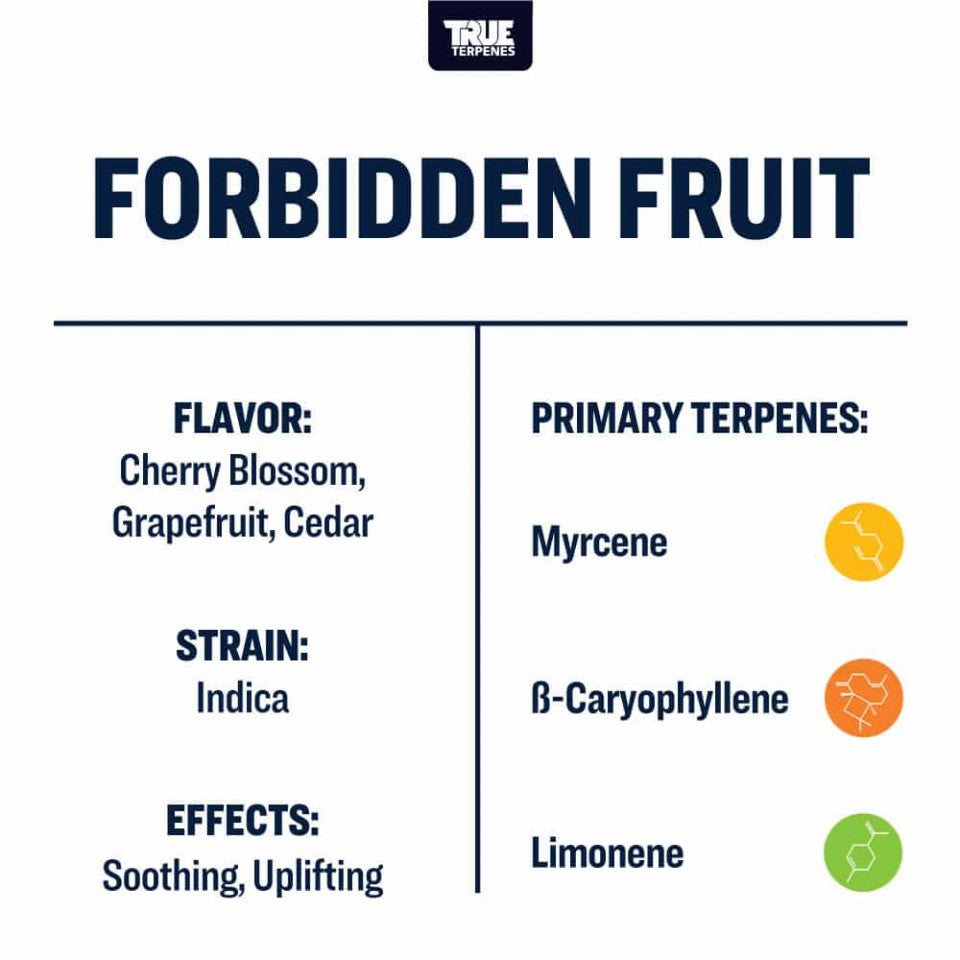 True Terpenes Forbidden Fruit Profile 4oz - Harvest