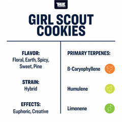 True Terpenes Girl Scout Cookies Profile, 15ml - Harvest