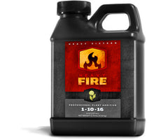 Heavy 16 Fire 16OZ (500ML), 12/cs - (OR Only)