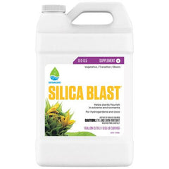SILICA BLAST 1GAL - (4/Cs) Case of 3