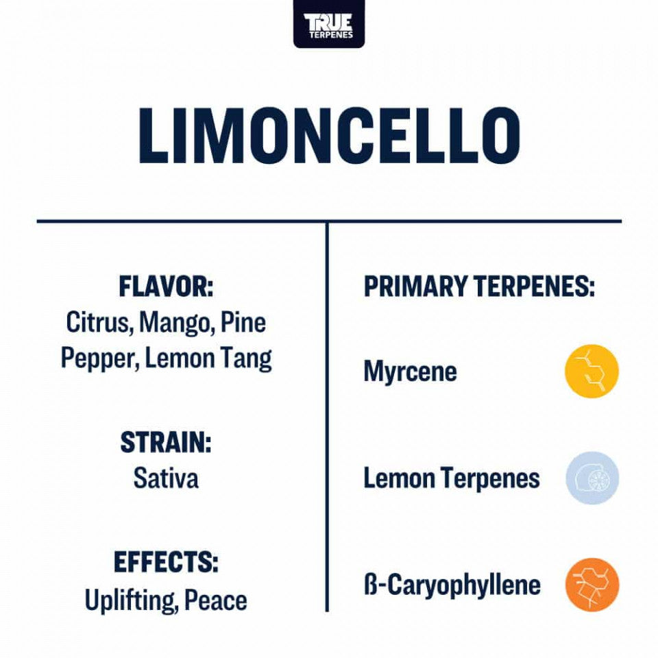 True Terpenes Limoncello Profile 1oz - Harvest