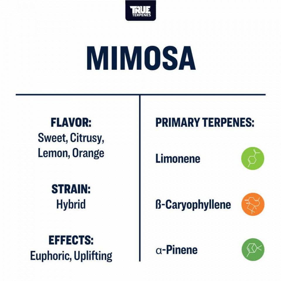 True Terpenes Mimosa Profile, 15ml - Harvest