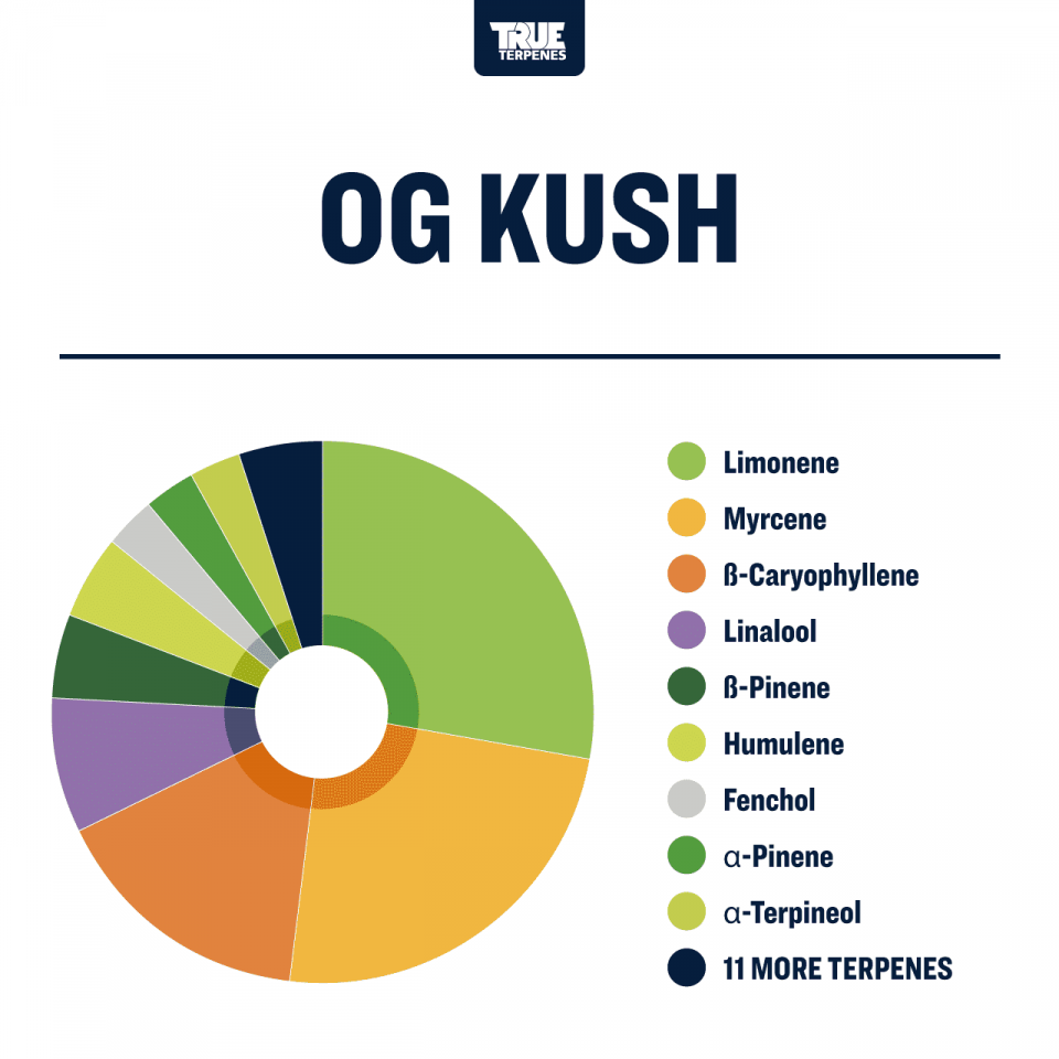 True Terpenes OG Kush Profile, 1oz - TTP-OGK-1