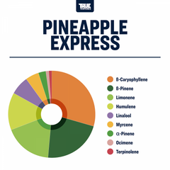 True Terpenes Pineapple Express Profile, 15ml - TTP-PEX-05-15
