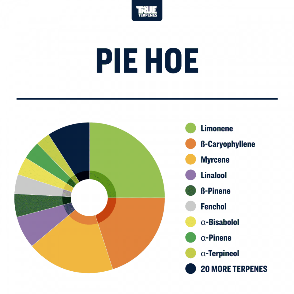 True Terpenes Pie Hoe Profile Infused 15ml - TTP-ID-PIHO-05-15