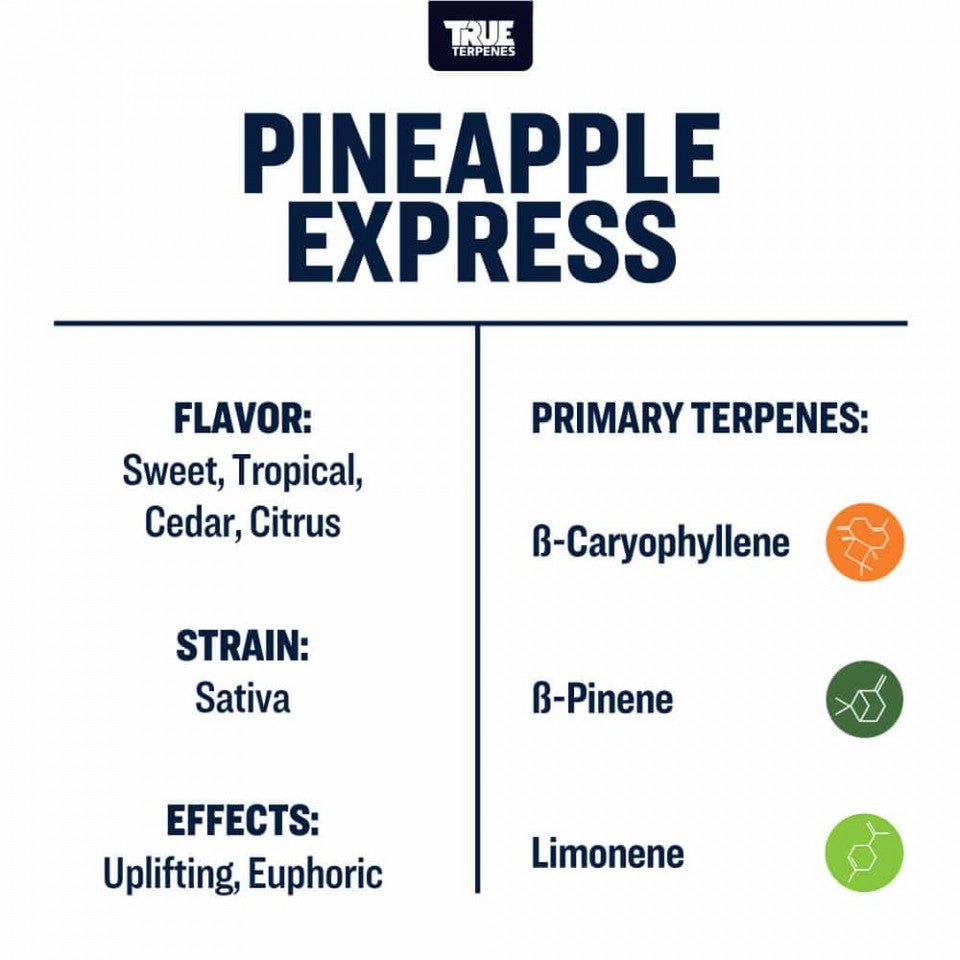 True Terpenes Pineapple Express Profile, 15ml - Harvest