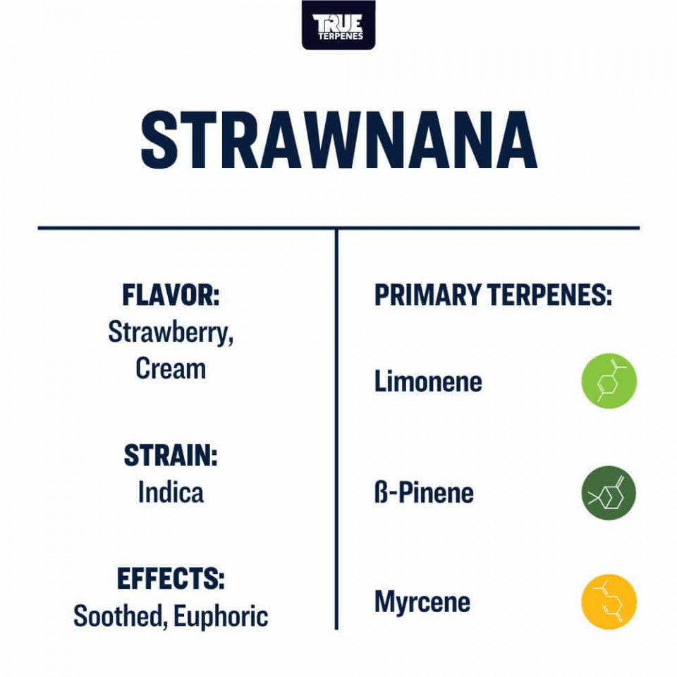 True Terpenes Strawnana Profile, 1oz - Harvest