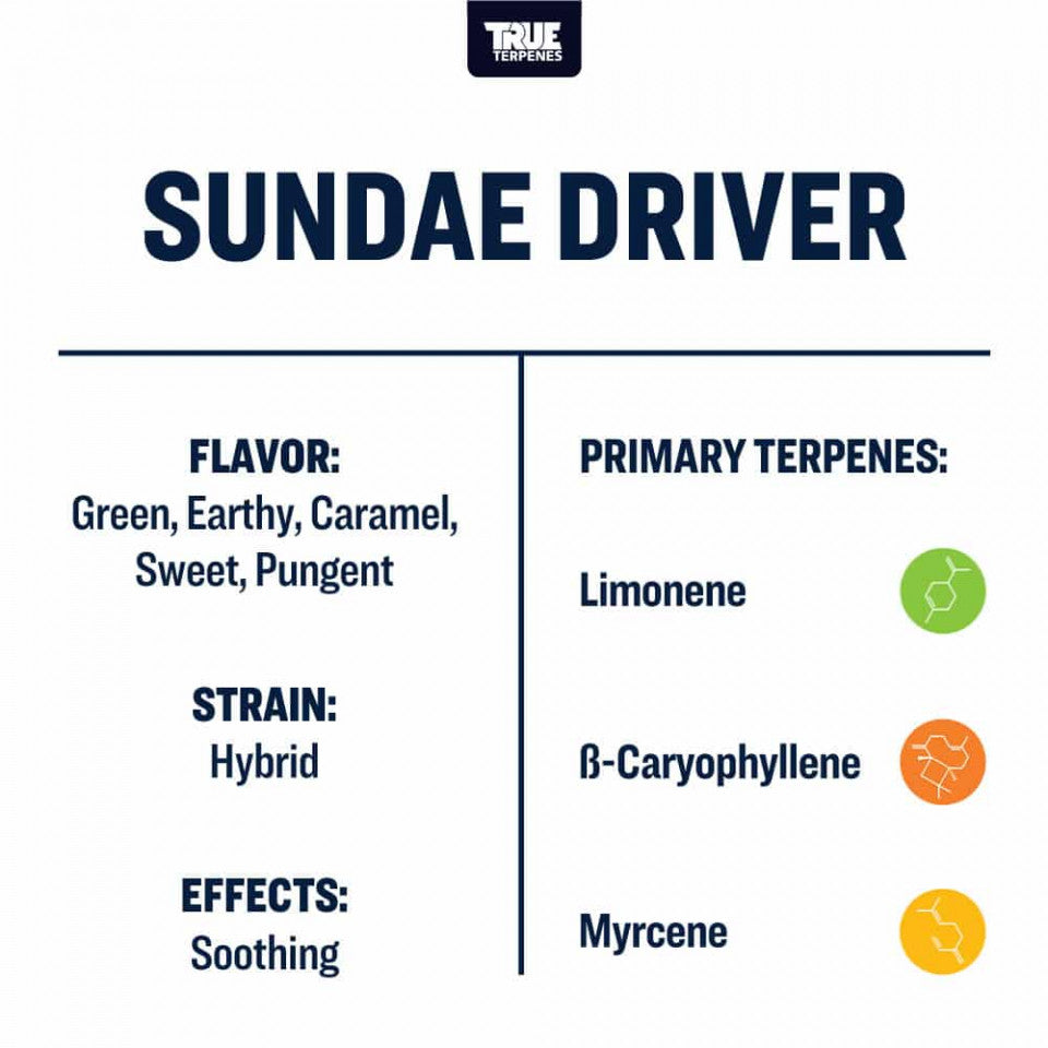 True Terpenes Sundae Driver Profile, 1oz - Harvest