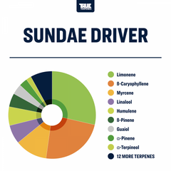 True Terpenes Sundae Driver Profile, 4oz - TTP-SDR-4