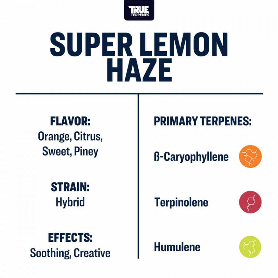 True Terpenes Super Lemon Haze Profile, 4oz - Harvest