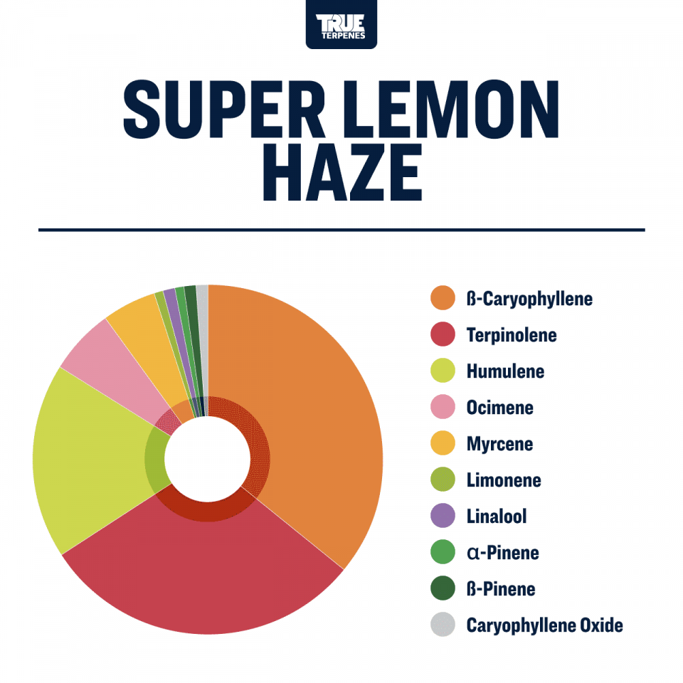 True Terpenes Super Lemon Haze Profile, 4oz - TTP-SLH-4