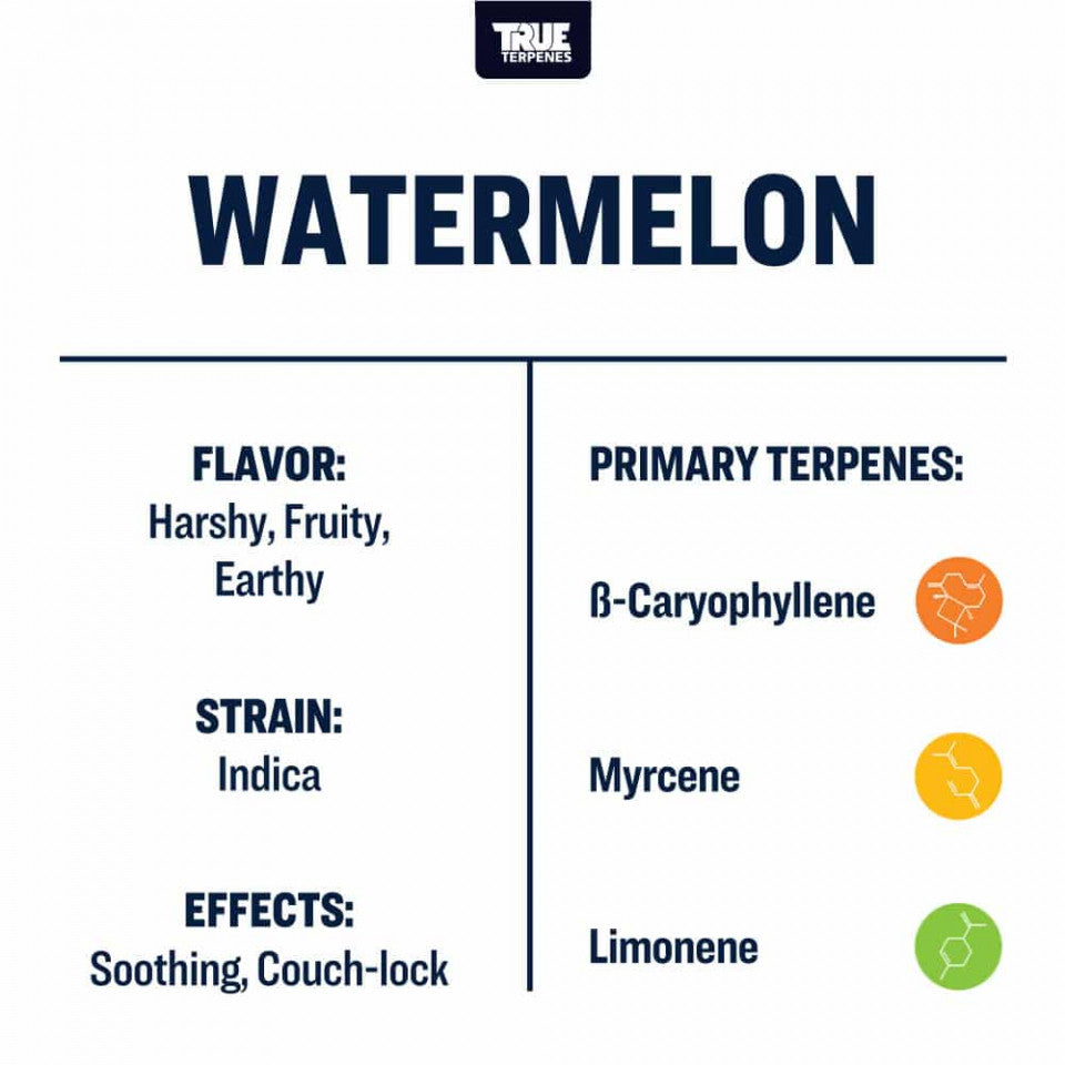 True Terpenes Watermelon Profile, 1oz - Harvest