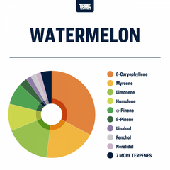 True Terpenes Watermelon Profile, 1oz - TTP-WMN-1