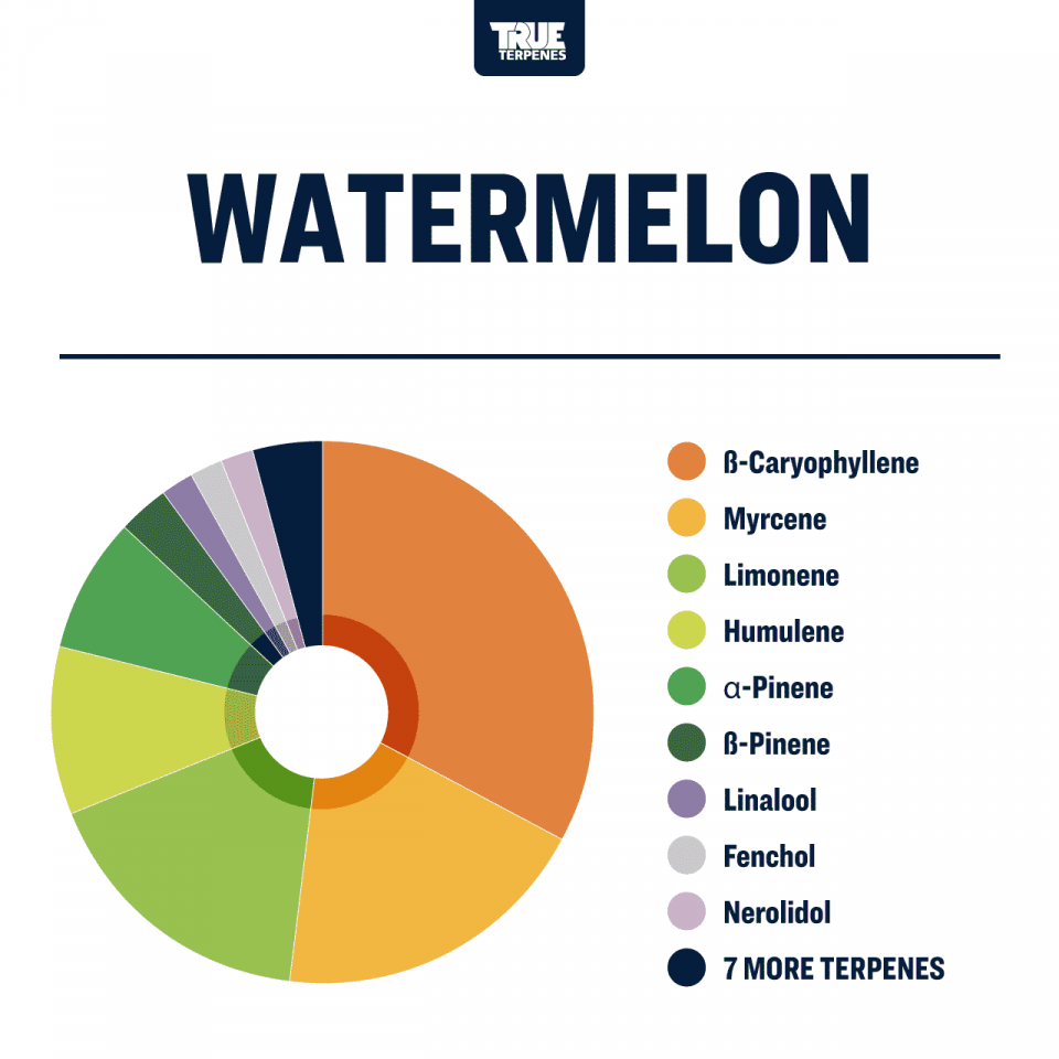 True Terpenes Watermelon Profile, 2ml - TTP-WMN-02