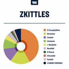 True Terpenes Zkittles Profile, 2ml - TTP-ZKI-02