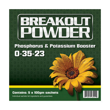 Aptus Breakout Powder, 100 Gram - Case of 5