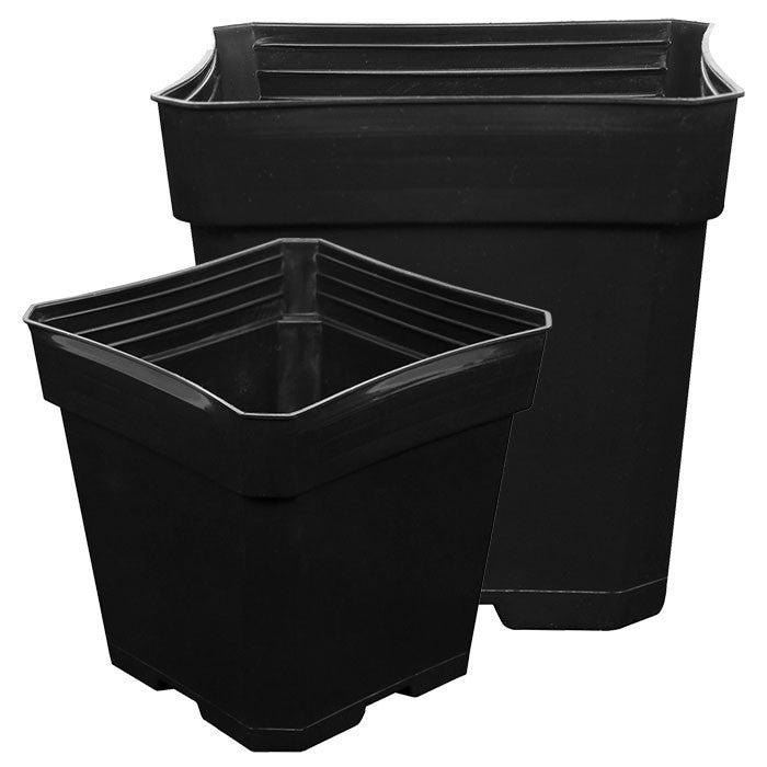 Gro Pro Black Plastic Pot 5.5 In X 5.5 In X 5.75 In - Pack of 200