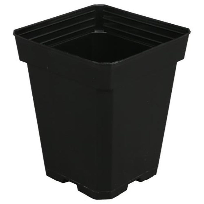 Gro Pro Black Square Plastic Pot, 5 in. x 5 in. x 6.5 in. - Case of 200