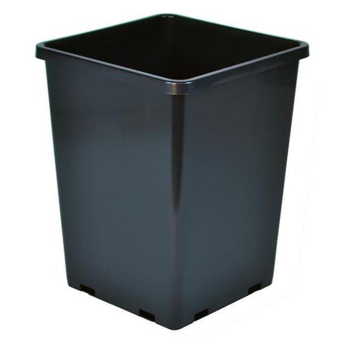 Gro Pro Rose Bucket Black, 7.6 inch x 7.6 inch x 9.7 inch - Case of 10