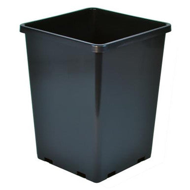 Gro Pro Rose Bucket Black, 7.6 inch x 7.6 inch x 9.7 inch - (10/Cs) Case of 10