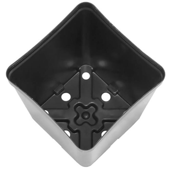 Gro Pro Square Plastic Pot, 5.5 x 5.5 x 6 in. - Case of 200