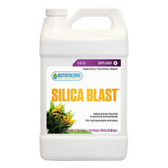 SILICA BLAST 55GAL/1