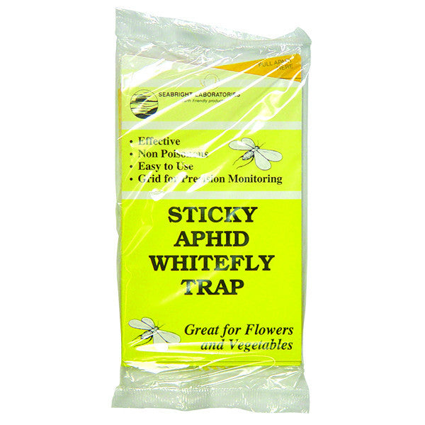 Seabright Laboratories Sticky Whitefly Trap