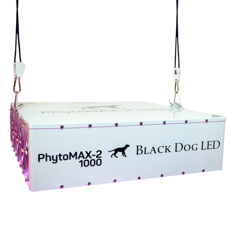 Black Dog PhytoMAX-2 1000 Watt LED Grow Light Fixture - Grow Lights